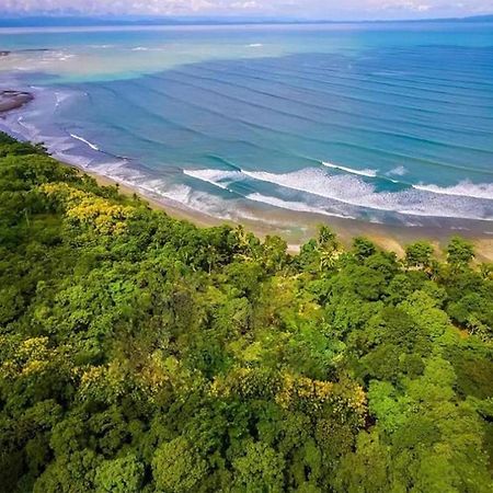 Four Monkeys Eco Lodge Jungle & Beach - The House Cabo Matapalo Ngoại thất bức ảnh
