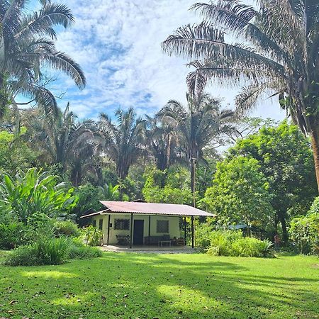 Four Monkeys Eco Lodge Jungle & Beach - The House Cabo Matapalo Ngoại thất bức ảnh