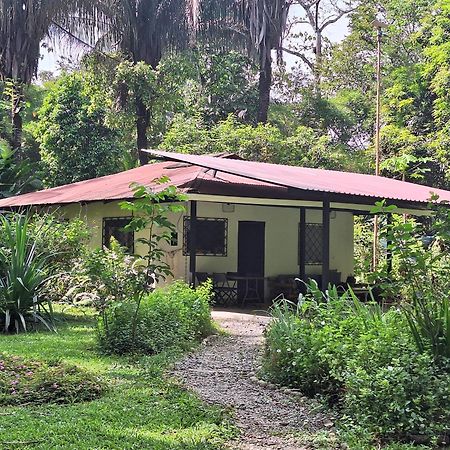 Four Monkeys Eco Lodge Jungle & Beach - The House Cabo Matapalo Ngoại thất bức ảnh