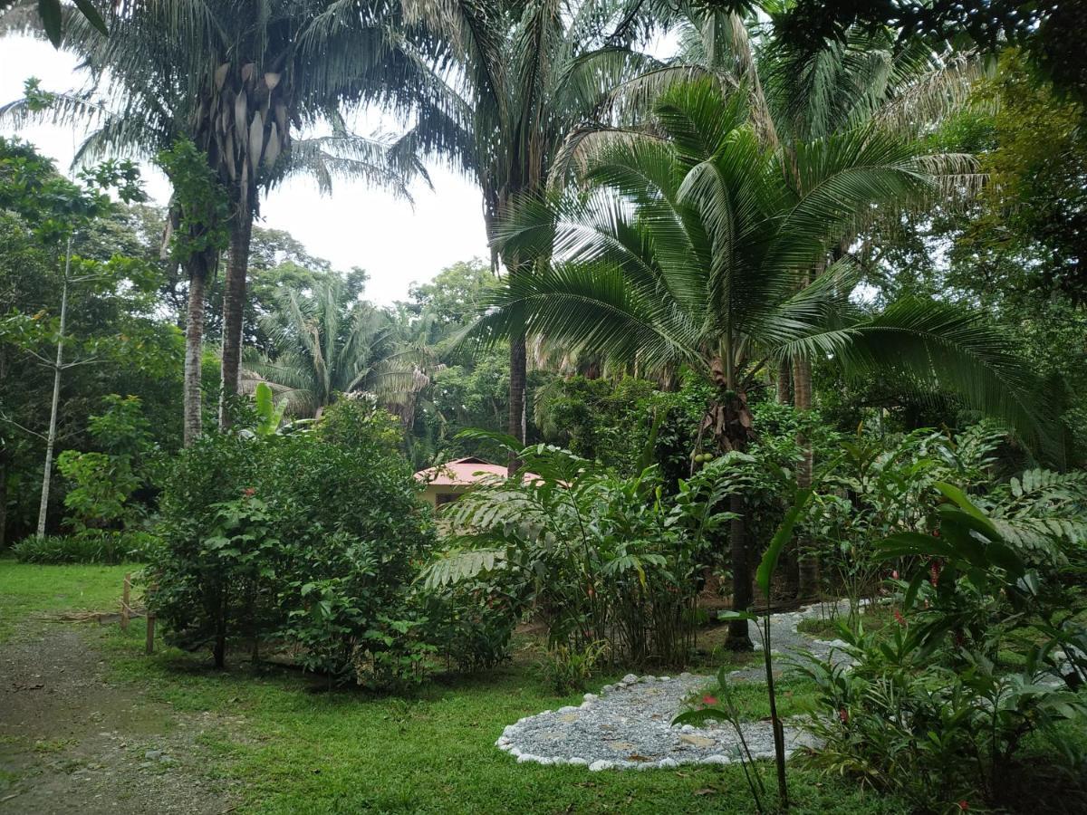Four Monkeys Eco Lodge Jungle & Beach - The House Cabo Matapalo Ngoại thất bức ảnh