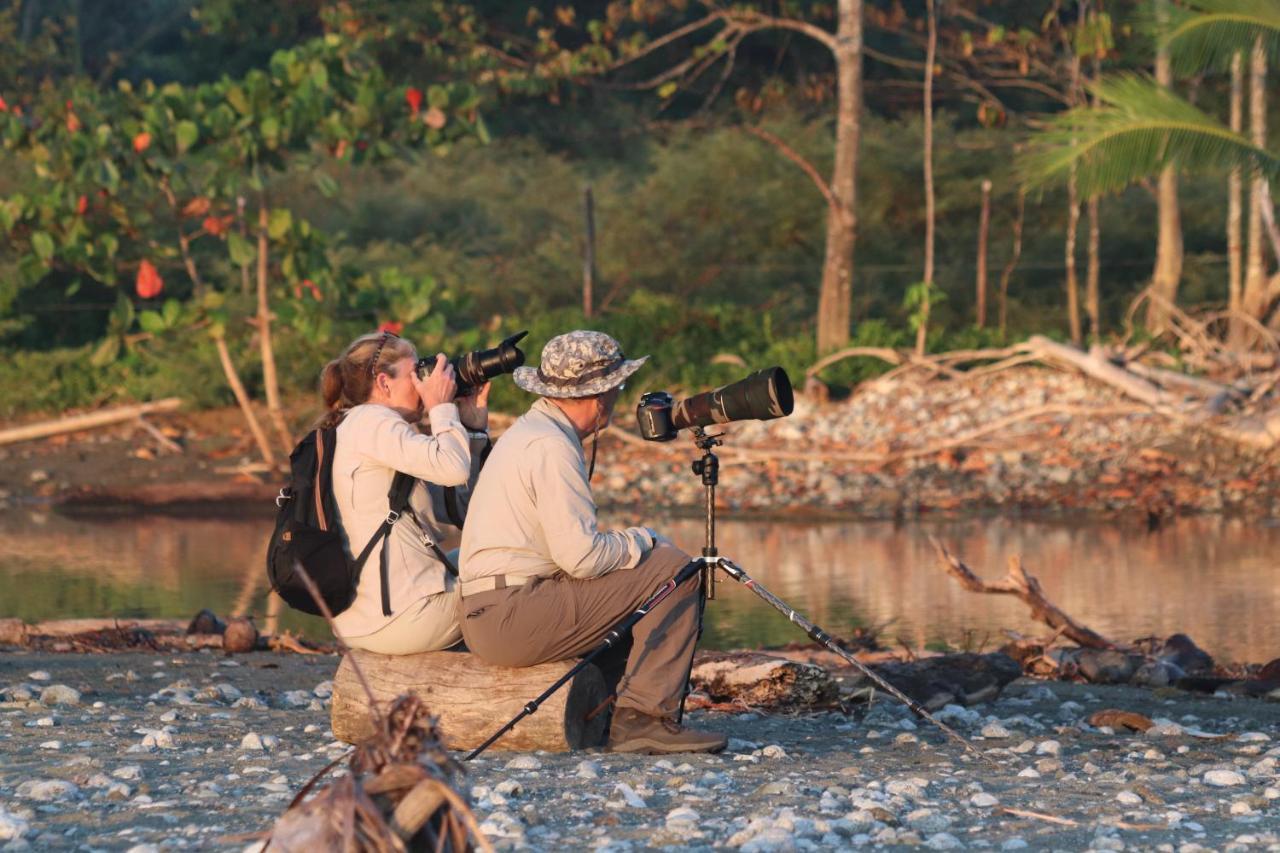 Four Monkeys Eco Lodge Jungle & Beach - The House Cabo Matapalo Ngoại thất bức ảnh