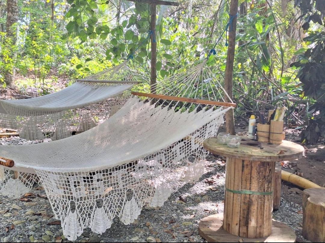 Four Monkeys Eco Lodge Jungle & Beach - The House Cabo Matapalo Ngoại thất bức ảnh