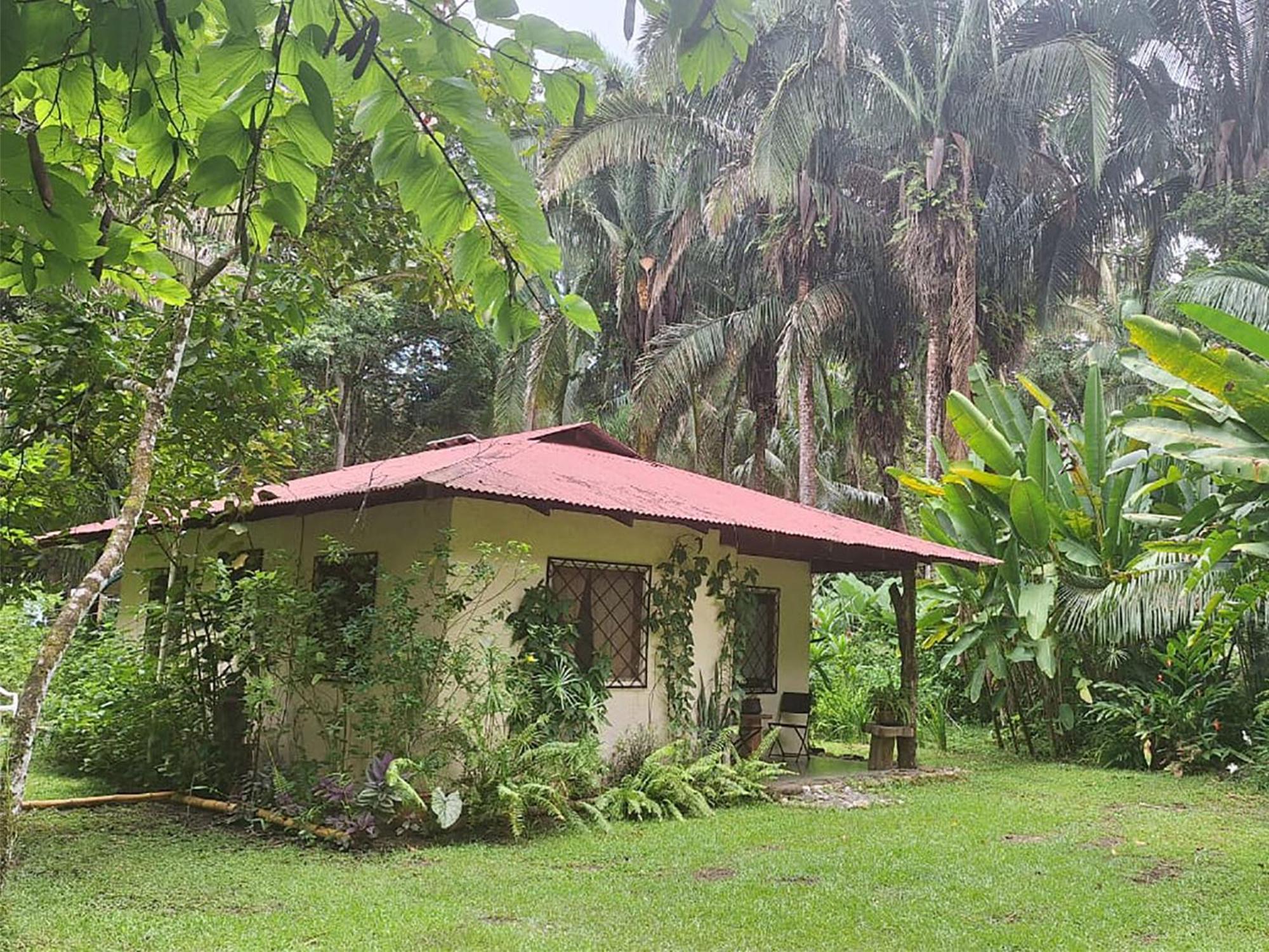 Four Monkeys Eco Lodge Jungle & Beach - The House Cabo Matapalo Ngoại thất bức ảnh