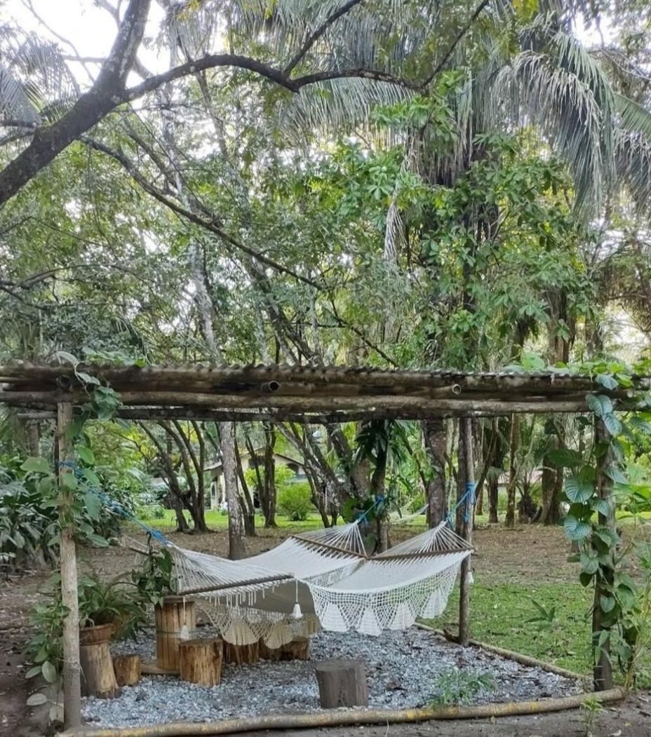 Four Monkeys Eco Lodge Jungle & Beach - The House Cabo Matapalo Ngoại thất bức ảnh