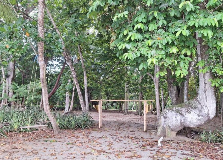 Four Monkeys Eco Lodge Jungle & Beach - The House Cabo Matapalo Ngoại thất bức ảnh