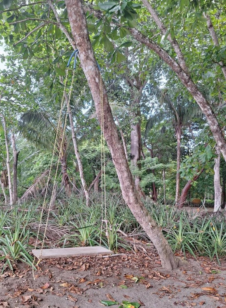 Four Monkeys Eco Lodge Jungle & Beach - The House Cabo Matapalo Ngoại thất bức ảnh