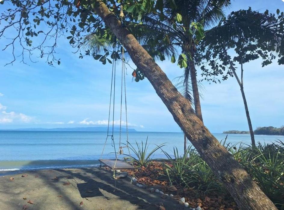 Four Monkeys Eco Lodge Jungle & Beach - The House Cabo Matapalo Ngoại thất bức ảnh