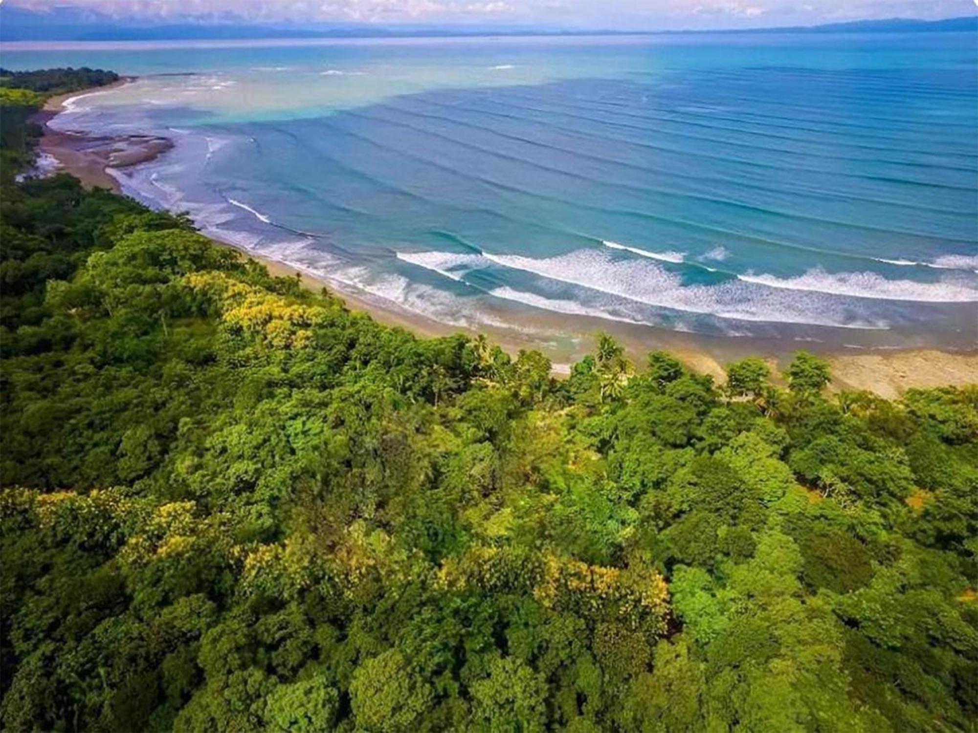 Four Monkeys Eco Lodge Jungle & Beach - The House Cabo Matapalo Ngoại thất bức ảnh