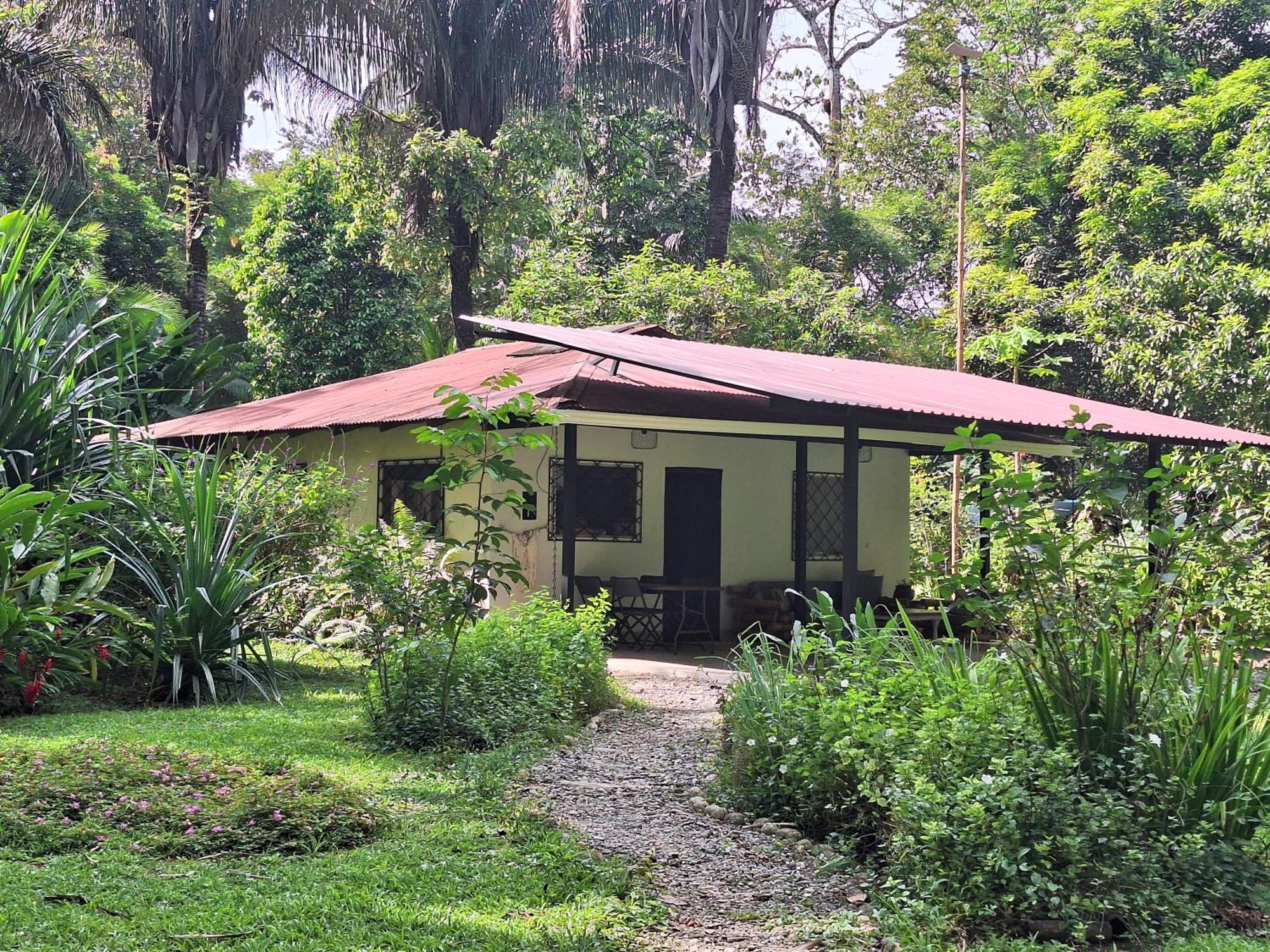 Four Monkeys Eco Lodge Jungle & Beach - The House Cabo Matapalo Ngoại thất bức ảnh